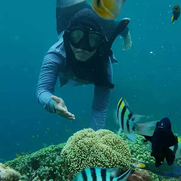 OPEN TRIP 2D1N TABUHAN - MENJANGAN, BALURAN & IJEN